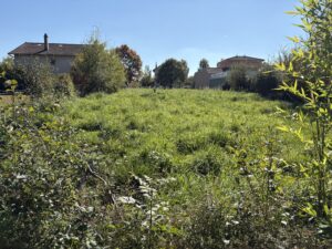 LANDOUGE